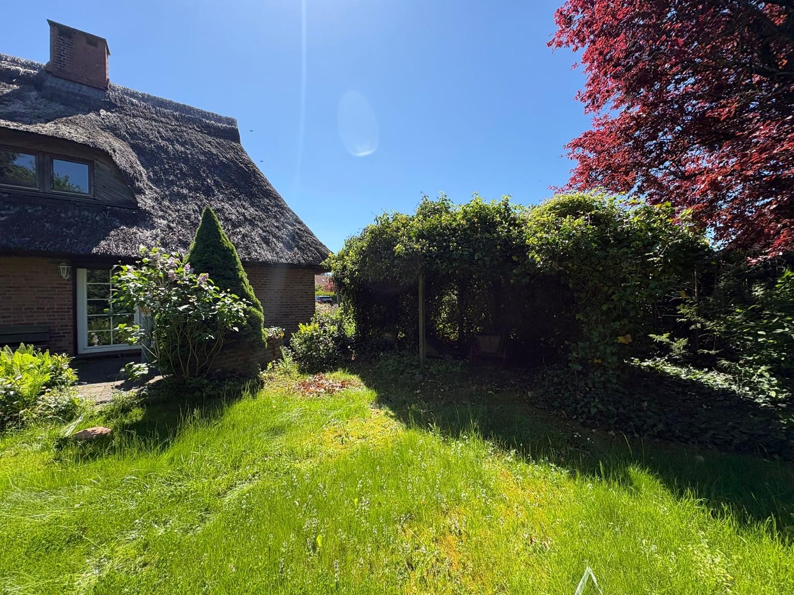 Sonnige Gartenwiese mit begrünter Laube neben dem Haus